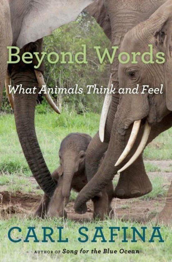Carl Safina Beyond Words thumbnail