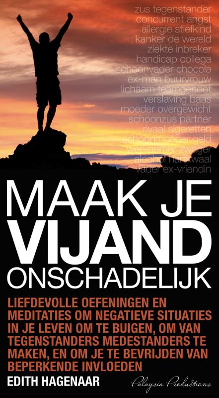 Maak je vijand onschadelijk (luisterboek)