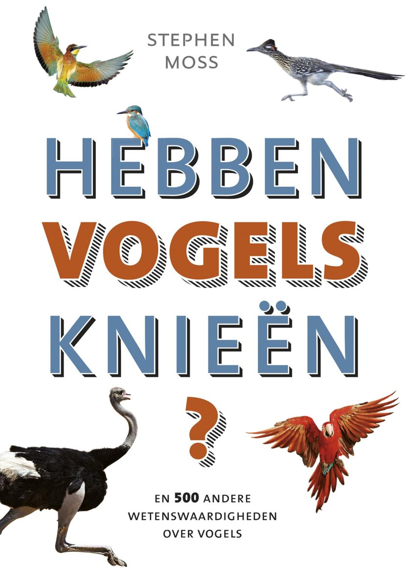 Hebben vogels knieën?