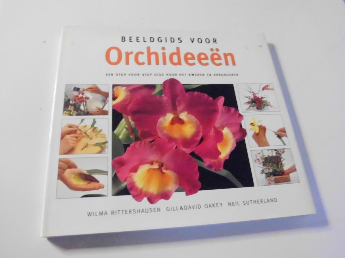 BEELDGIDS VOOR ORCHIDEEEN