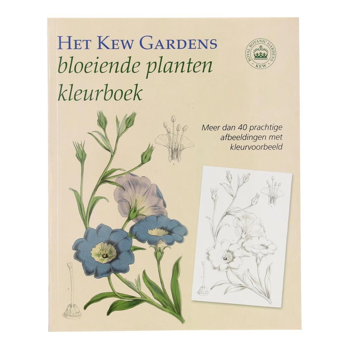 boekenbalie_9789059475151_cover Het Kew Gardens bloeiende planten kleurboek