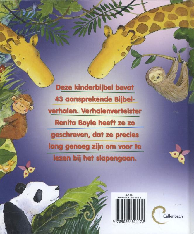 Mijn bijbelverhalenboek voor het slapen gaan achterkant
