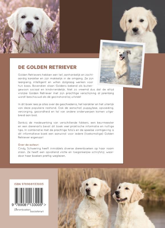 De Golden Retriever achterkant