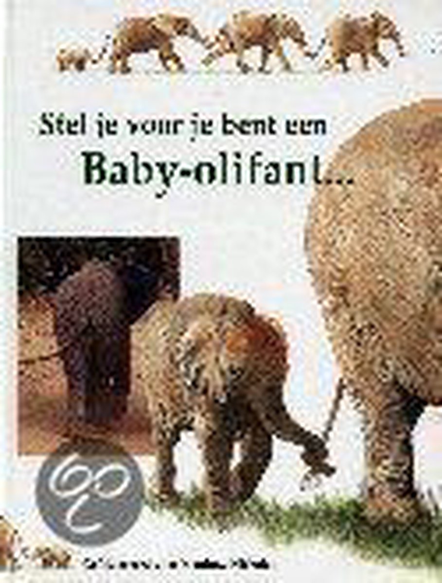 Stel je voor je bent een baby-olifant ...