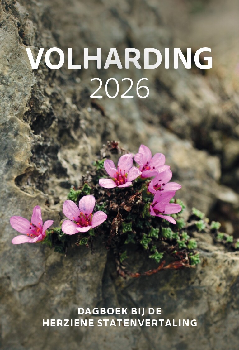 Volharding | 2026