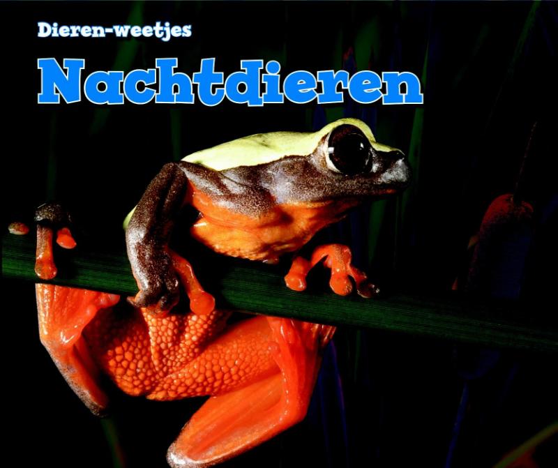 Nachtdieren / Dierenweetjes