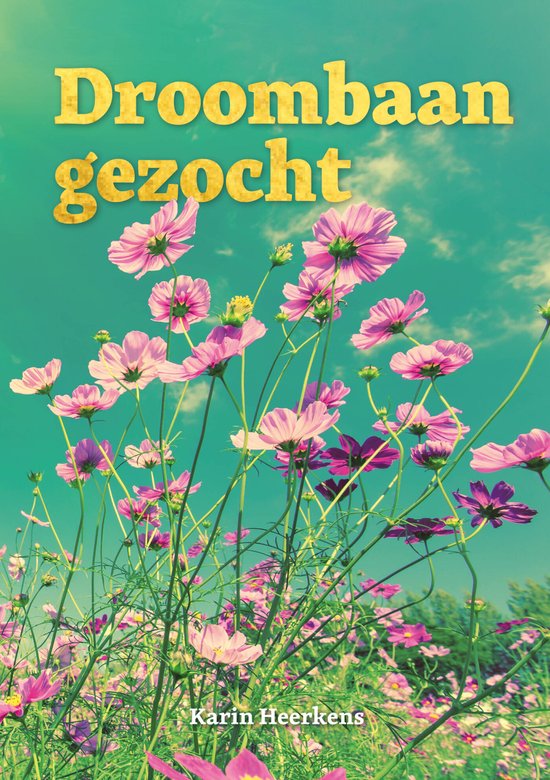 Karin Heerkens Droombaan Gezocht
