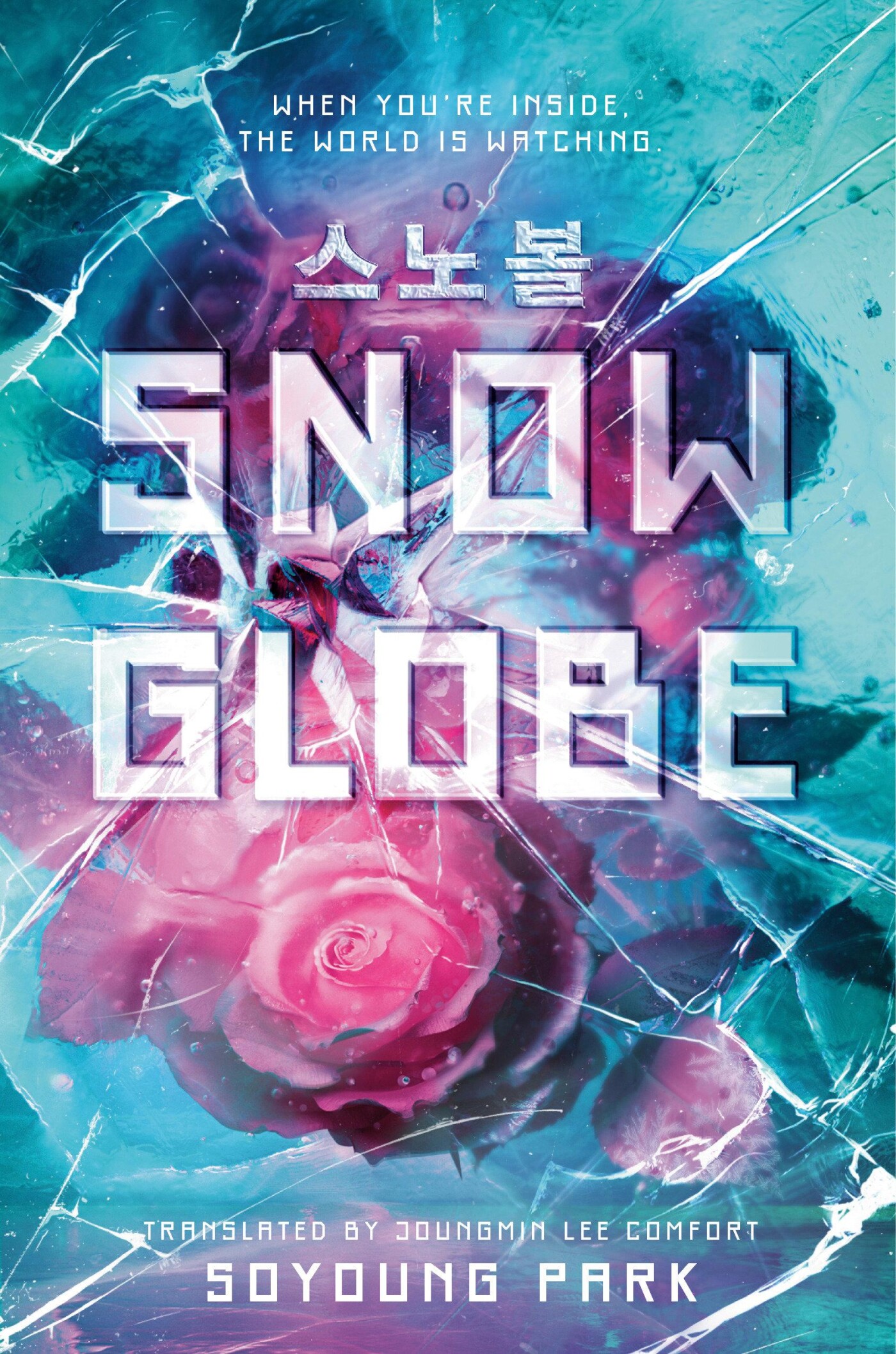 Soyoung Park Snowglobe