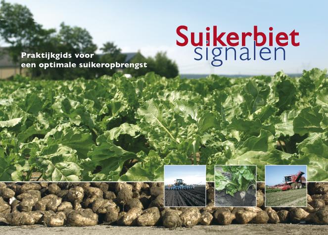 boekenbalie_9789087400156_cover Suikerbietsignalen