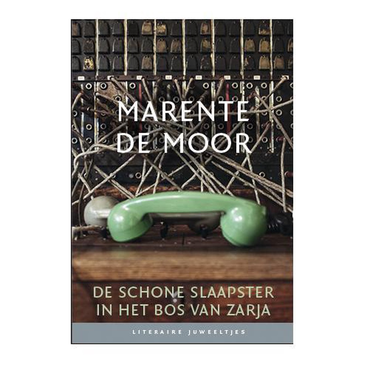 boekenbalie_9789085166320_cover De schone slaapster in het bos van Zarja / Literaire Juweeltjes