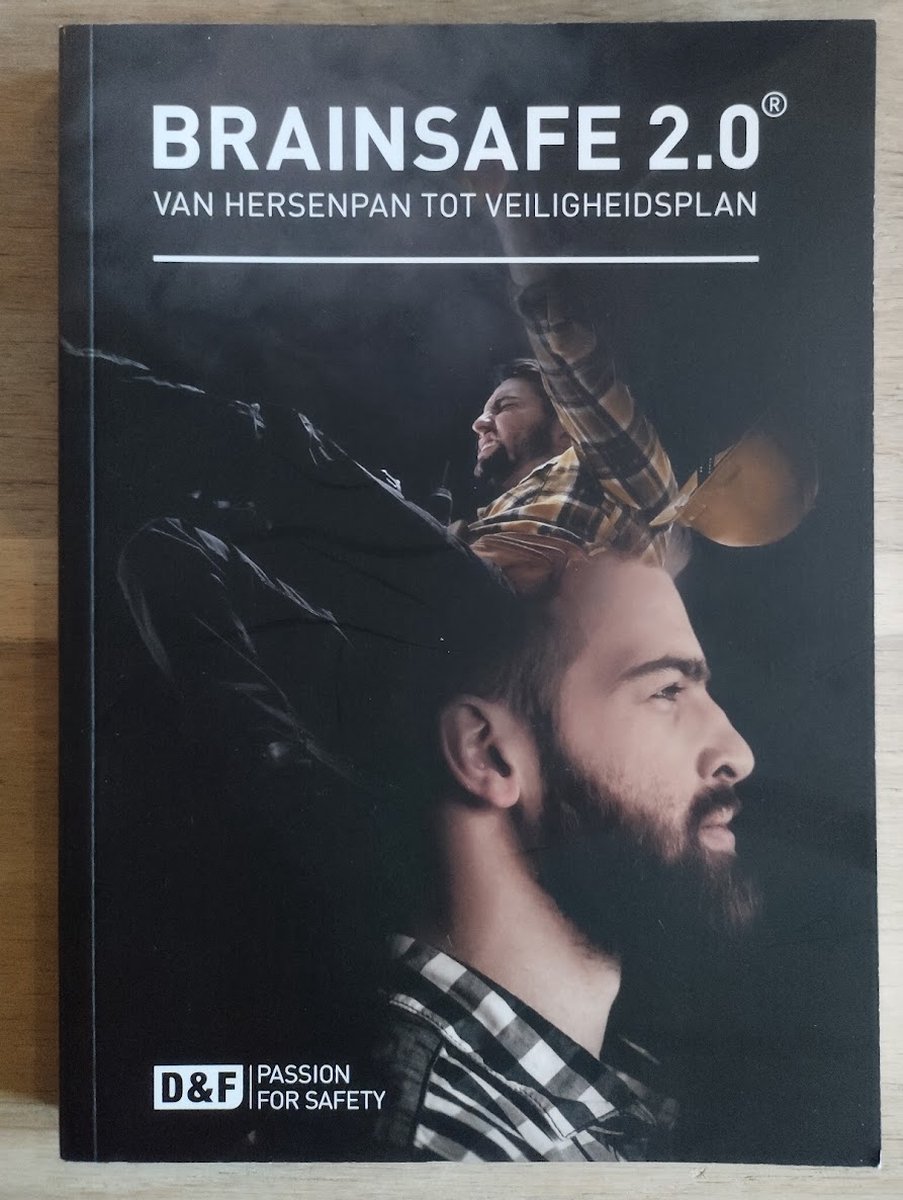Gerd-Jan Frijters Brainsafe 2.0 - Van Hersenpan Tot Veiligheidsplan