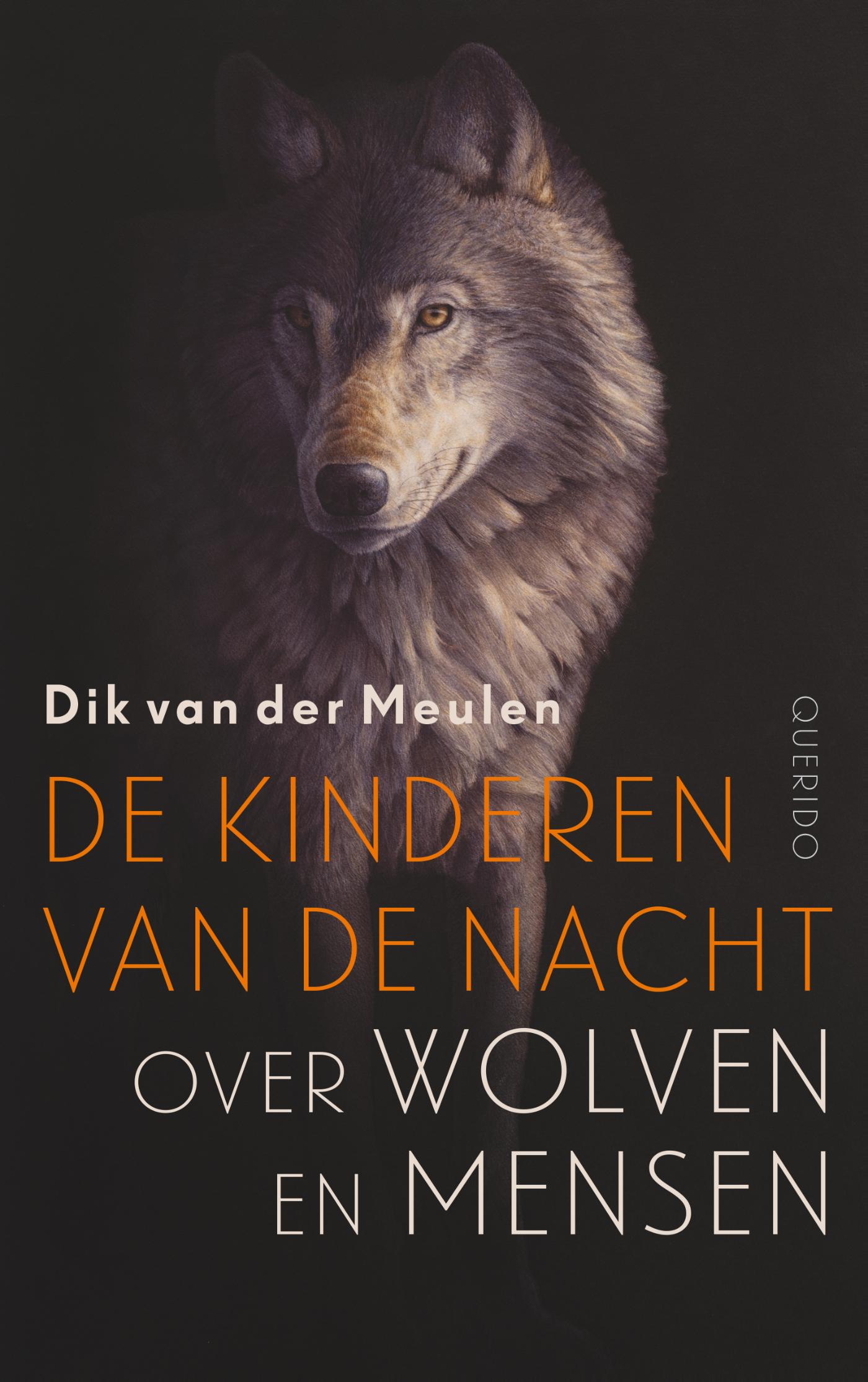 Dik van der Meulen De Kinderen Van De Nacht