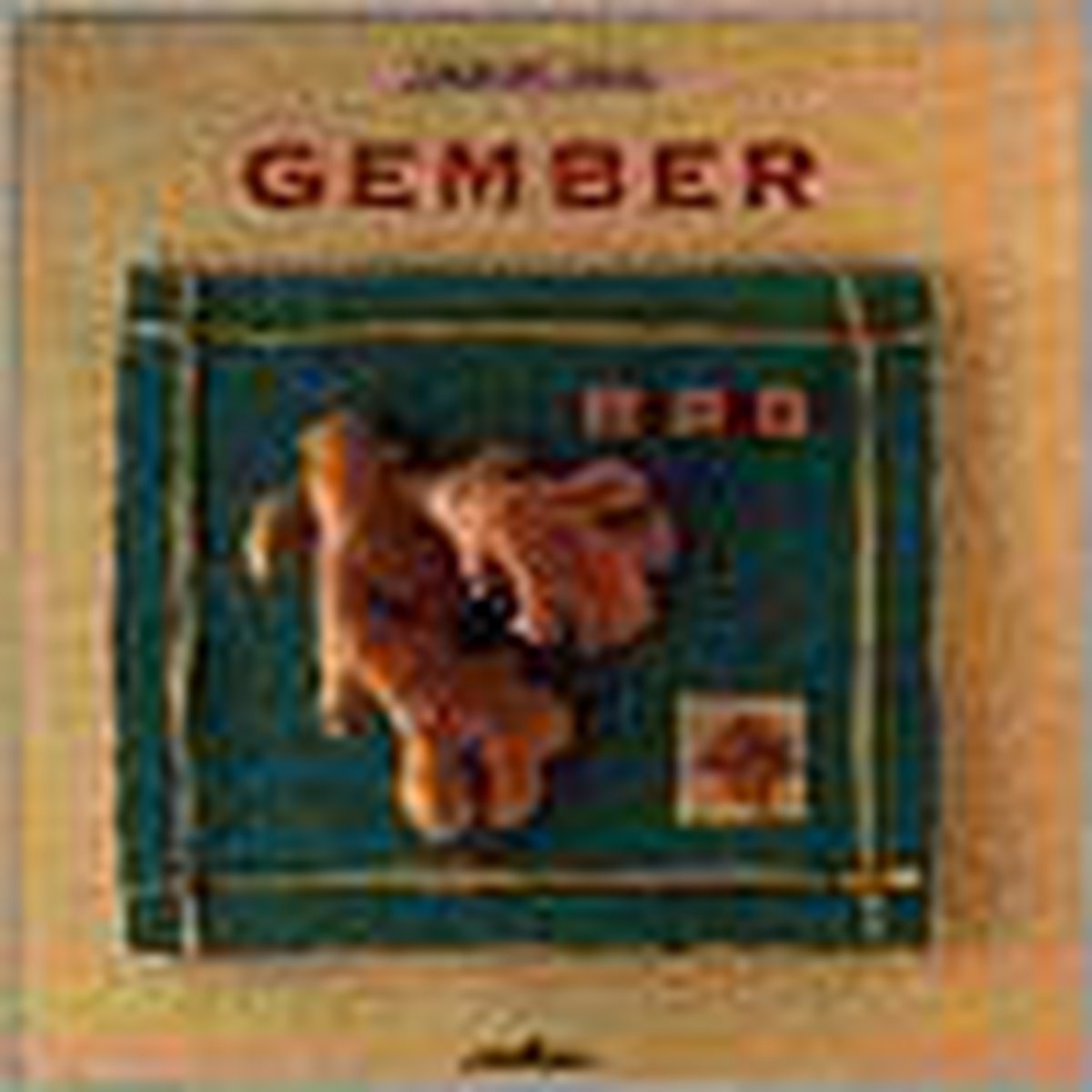 boekenbalie_9789054267935_cover Gember / Koken met smaak