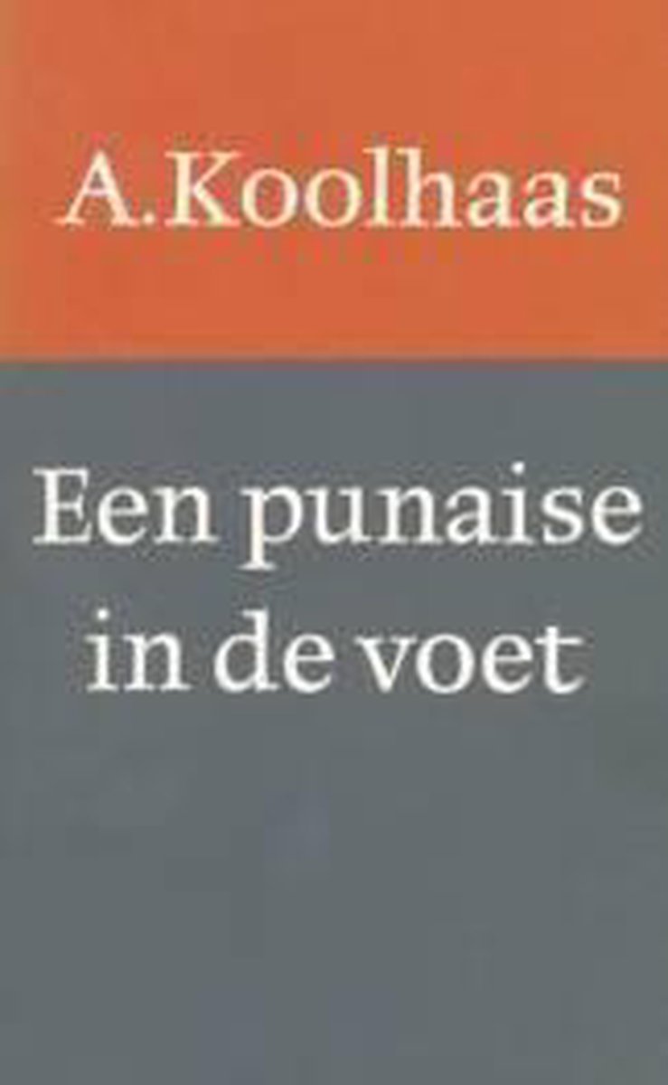 Punaise in de voet