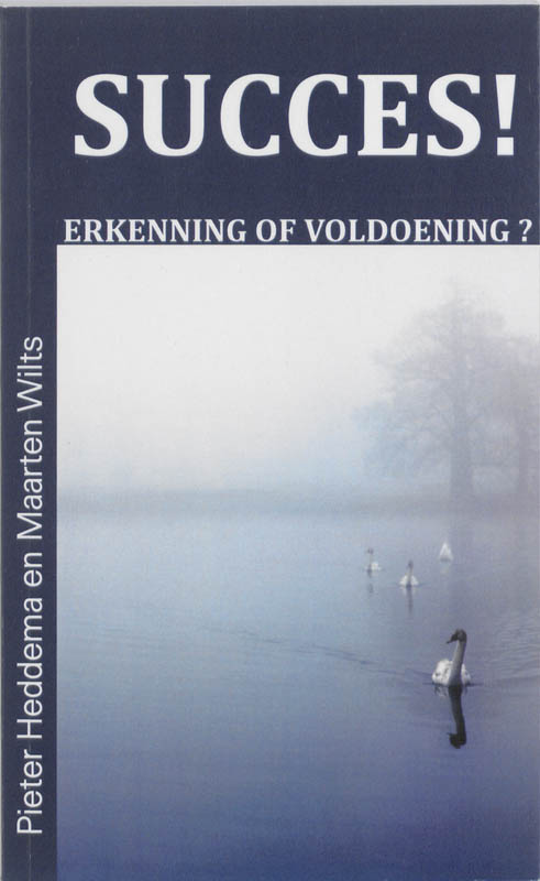 boekenbalie_9789048900152_cover Succes! Erkenning of voldoening?