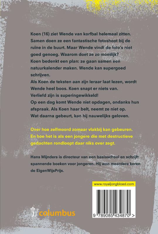 Crash achterkant