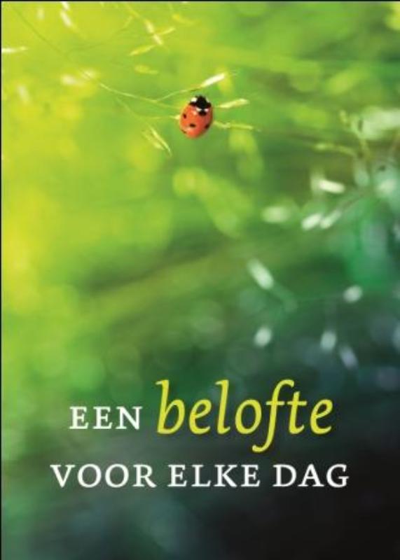 boekenbalie_9789088652301_cover Een belofte voor elke dag