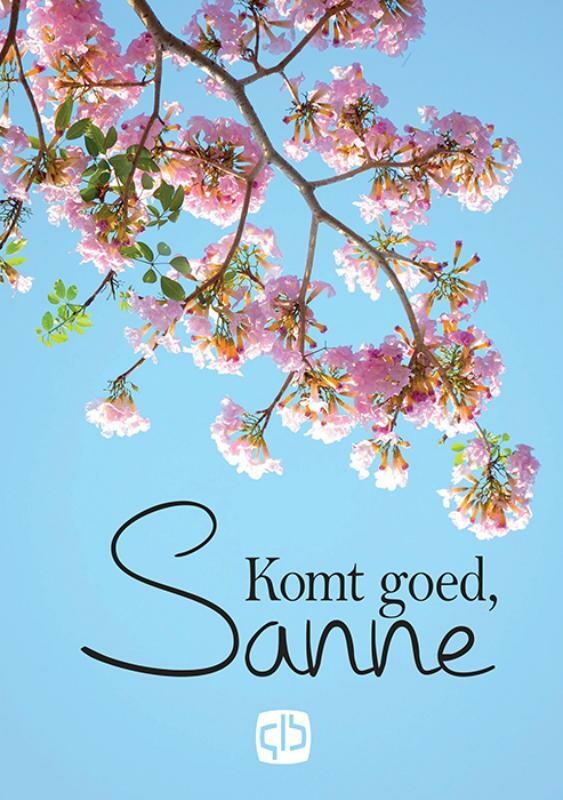 Komt goed, Sanne / Sanne / 15