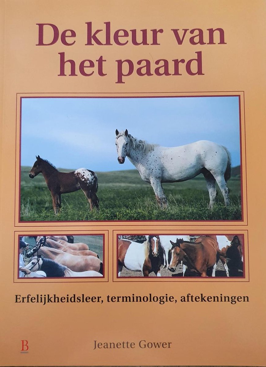 De Kleur Van Het Paard