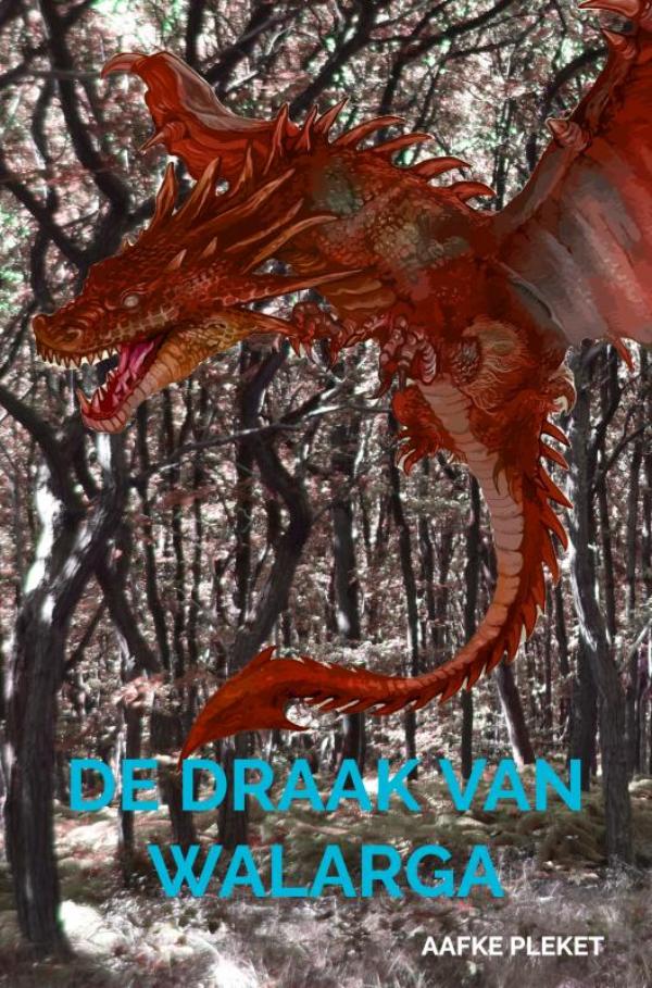 Aafke Pleket De Draak Van Walarga thumbnail