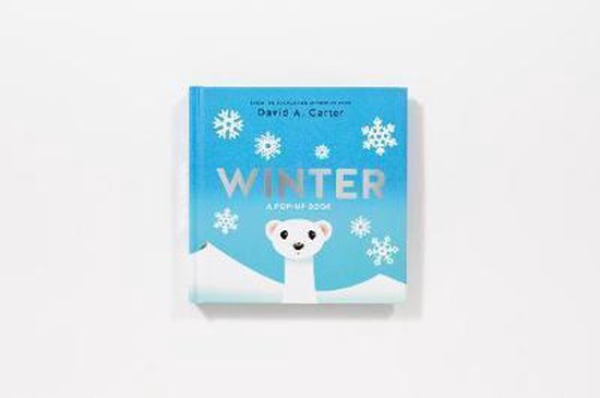 Winter. A Pop-up Book