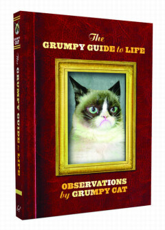 Grumpy Cat The Grumpy Guide To Life
