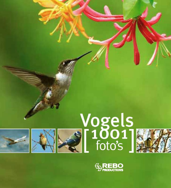 boekenbalie_9789036624930_cover Vogels 1001 foto's