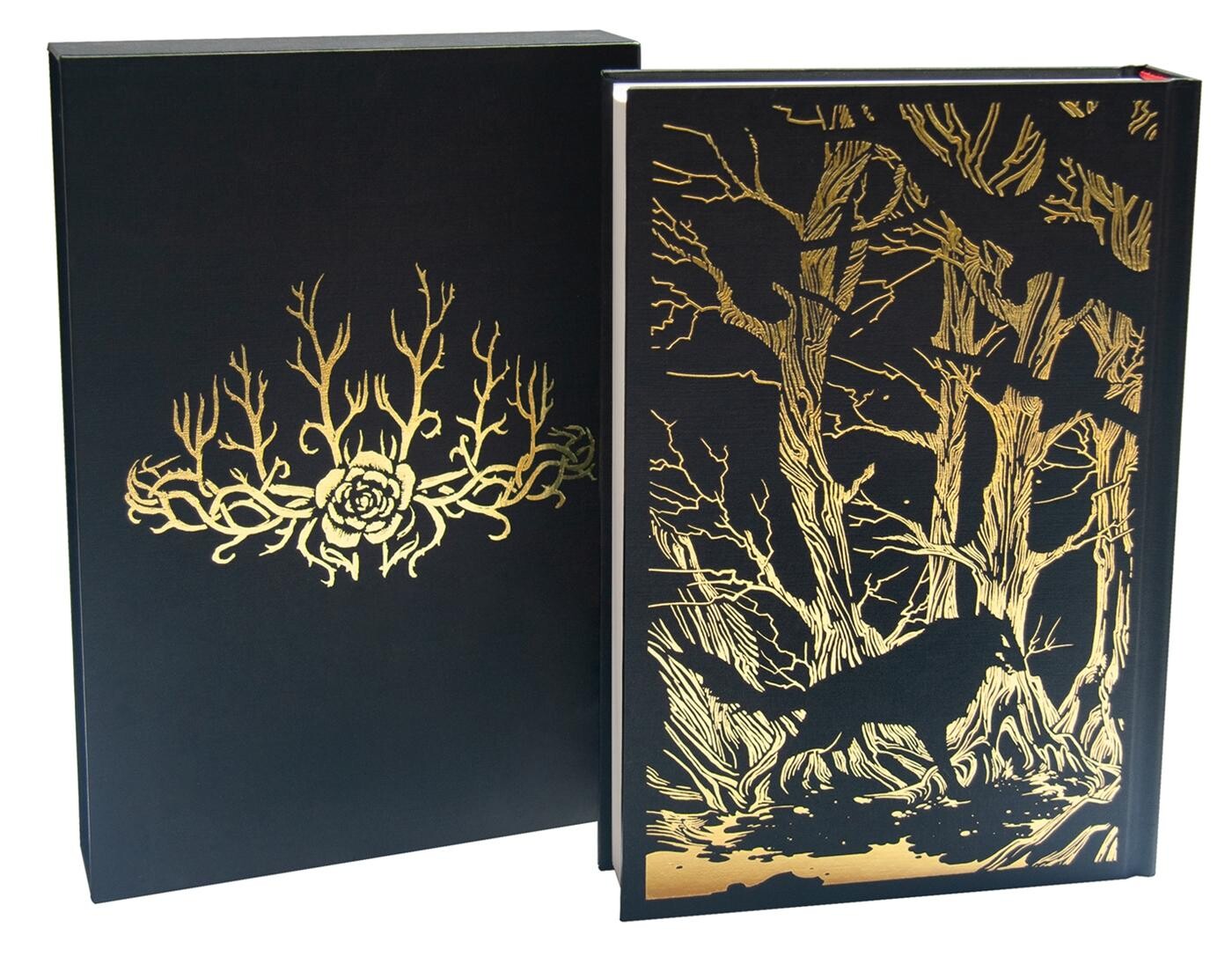 A Court of Thorns and Roses Collector's Edition / A Court of Thorns and Roses / 1 achterkant