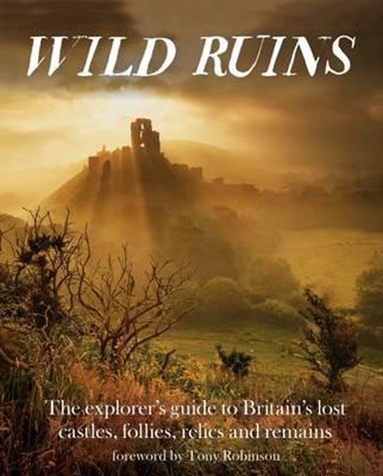 Dave Hamilton Wild Ruins thumbnail