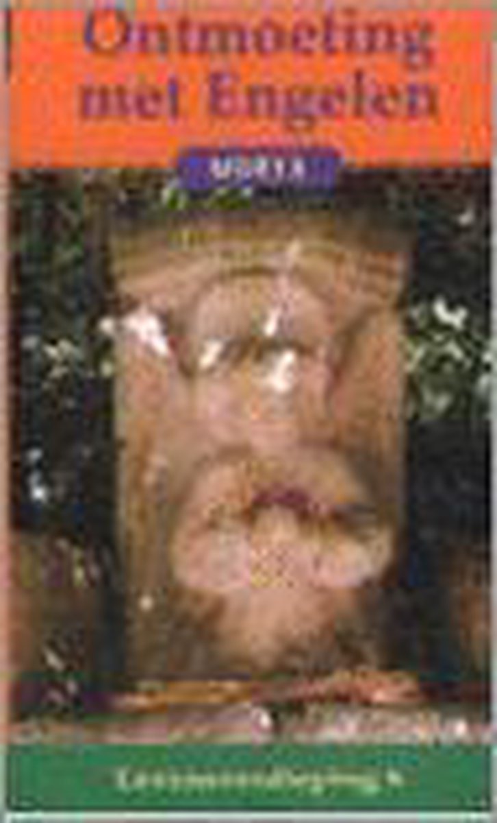 boekenbalie_9789075702149_cover Contact met de engelen / Levensverdieping / 6