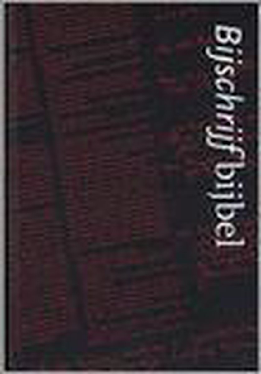 boekenbalie_9789061262312_cover BIJBEL  BIJSCHRIJF-
