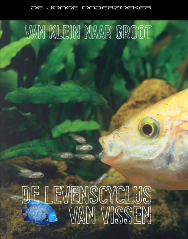 De levenscyclus van vissen / Van klein naar groot