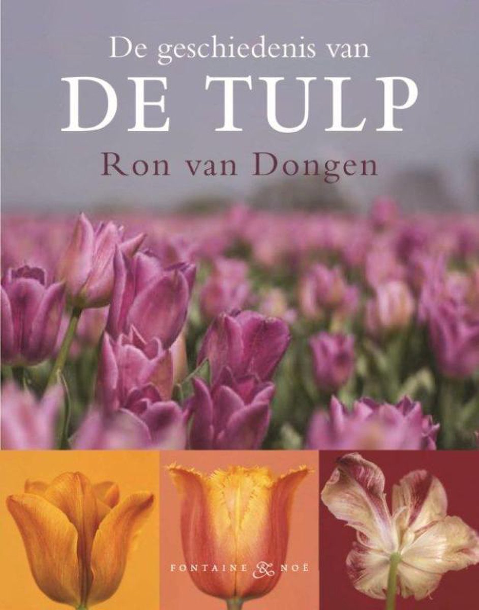 De geschiedenis van de tulp