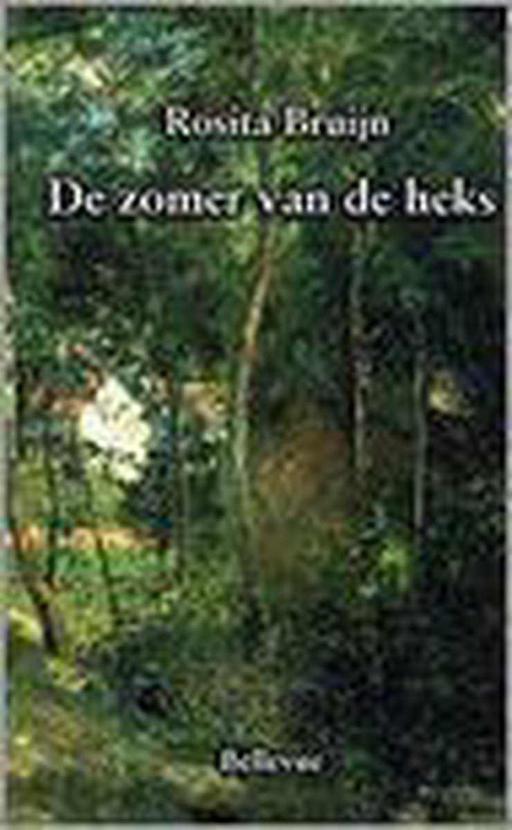 boekenbalie_9789080620469_cover De zomer van de heks