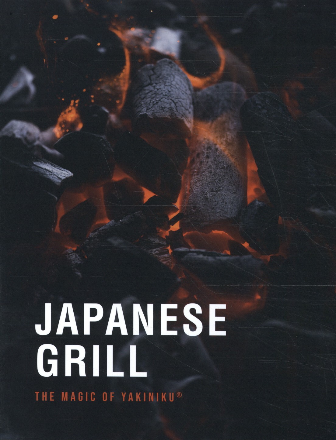 Japanse grill / JAPANESE GRILL / 2