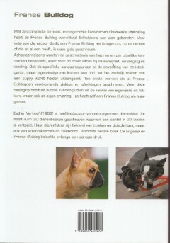 Franse Bulldog achterkant