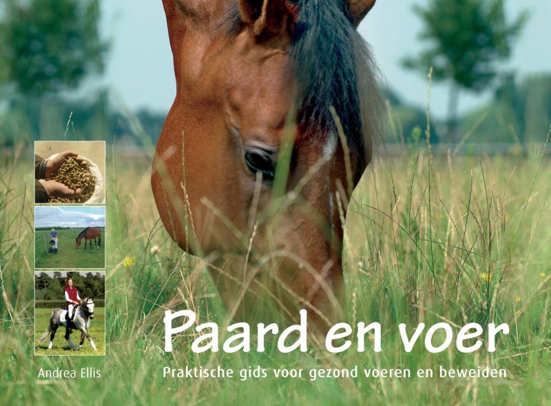 Albert Ellis Paard En Voer