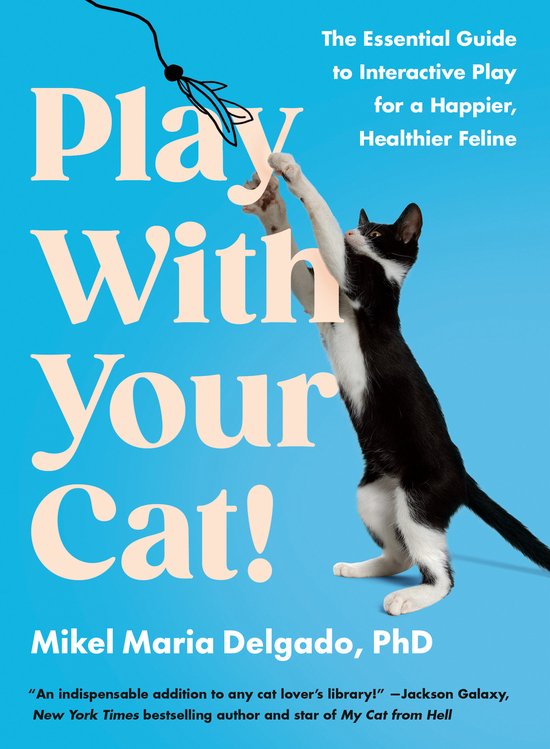 Mikel Maria Delgado Play With Your Cat! thumbnail