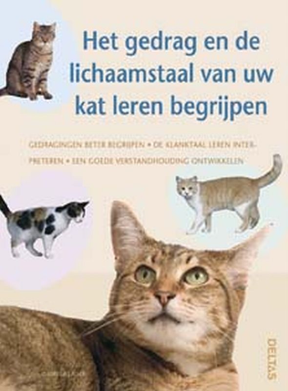 Het gedrag en de lichaamstaal van uw kat leren begrijpen