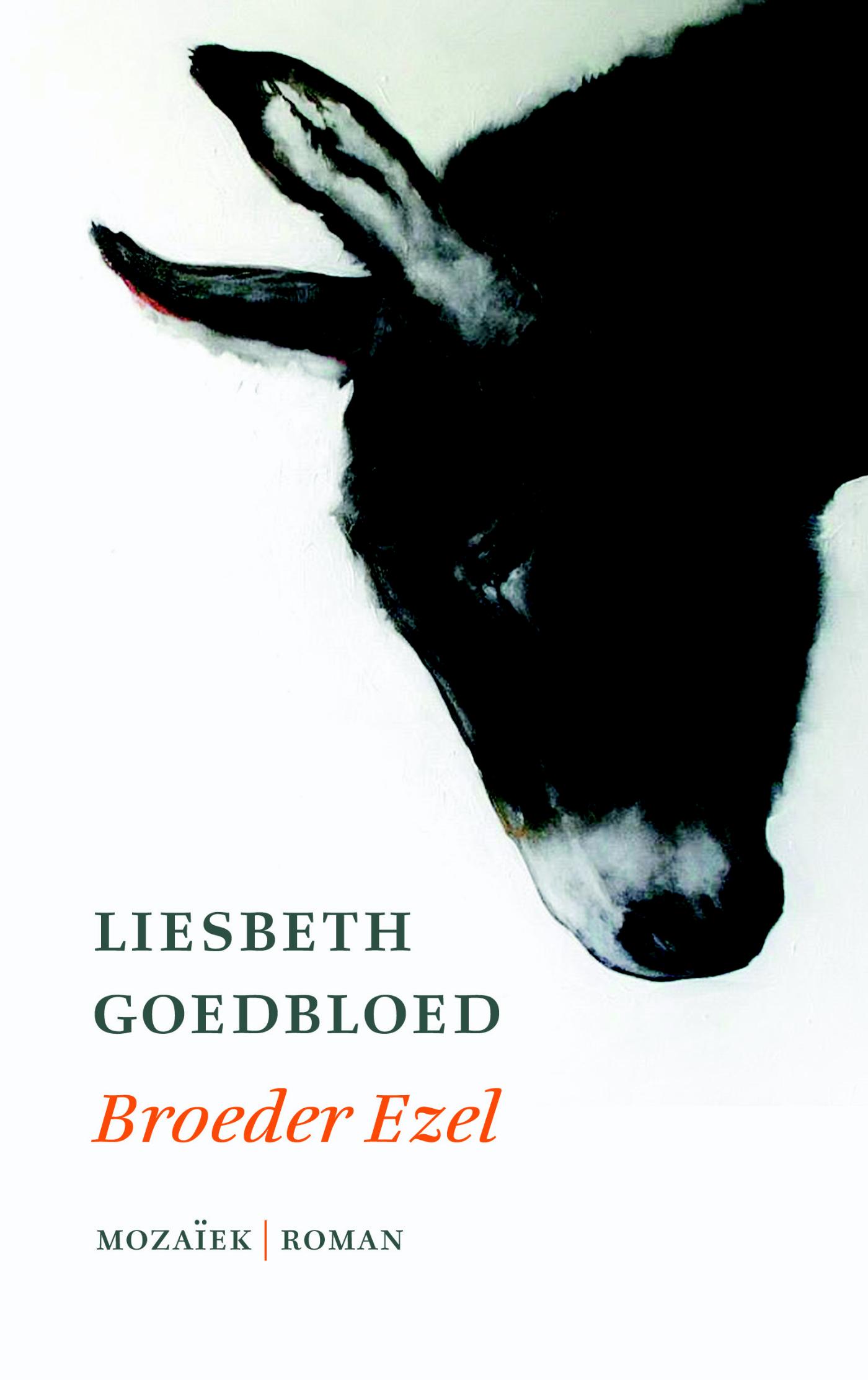 Liesbeth Goedbloed Broeder Ezel thumbnail