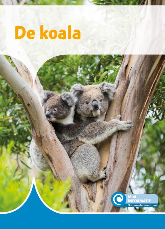 De koala / Mini Informatie / 486
