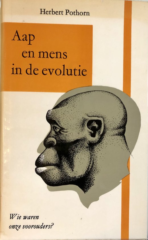 Aap en mens in de evolutie