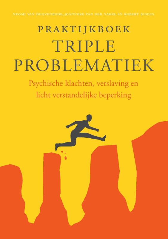 Neomi van Duijvenbode Praktijkboek Triple Problematiek