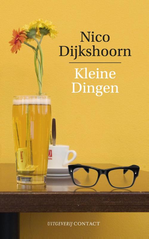 Nico Dijkshoorn Kleine Dingen thumbnail