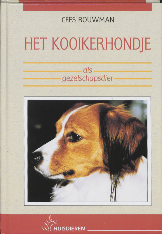 Het Kooikerhondje als gezelschapsdier / Reaal huisdieren