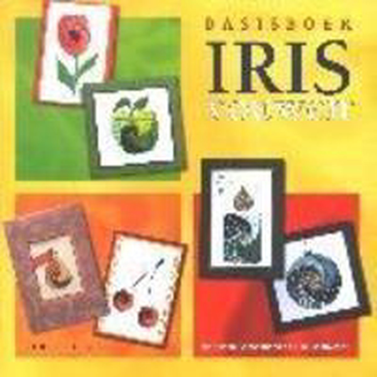 M. Gaasenbeek Basisboek Irisvouwen thumbnail
