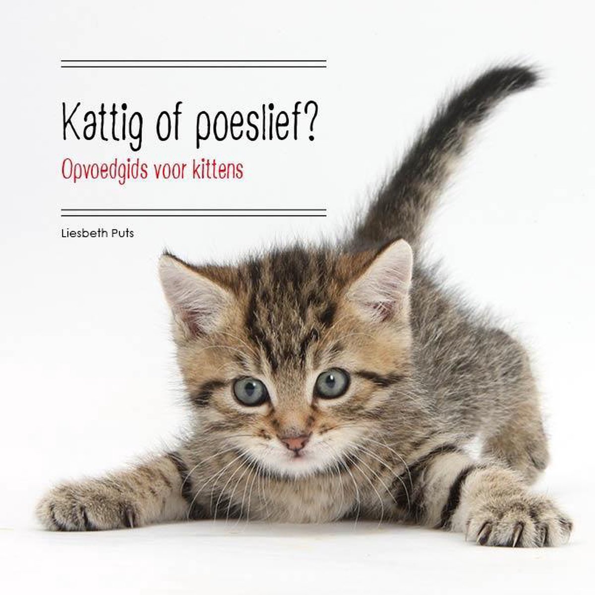 Kattig of poeslief?