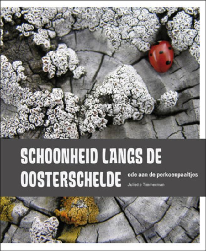 Schoonheid langs de Oosterschelde