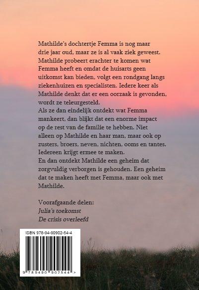 Stoekman-trilogie 3 -   Het familiegeheim achterkant