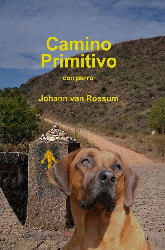 Camino Primitivo